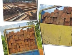 Hak Jawab: Eko dan Kanit Intel Polsek Sandai Luruskan Pemberitaan Dugaan Illegal Logging