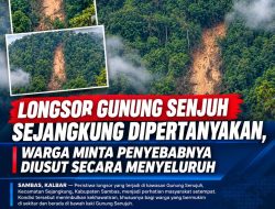 Longsor Gunung Senujuh Sambas Mengundang Kekhawatiran, Dugaan Kerusakan Hutan Diminta Dicek