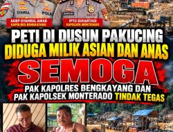 PETI Di Dusun Pakucing Diduga Milik Asian dan Anas SEMOGA Pak Kapolres Bengkayang Dan Pak Kapolsek Monterado Tindak Tegas