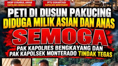 PETI Di Dusun Pakucing Diduga Milik Asian dan Anas SEMOGA Pak Kapolres Bengkayang Dan Pak Kapolsek Monterado Tindak Tegas